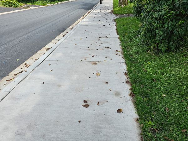 Cost of Sidewalk Renovation in Manassas