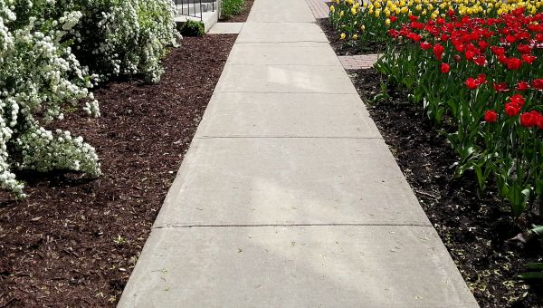 Cost of Sidewalk Slab Replacement in Manassas