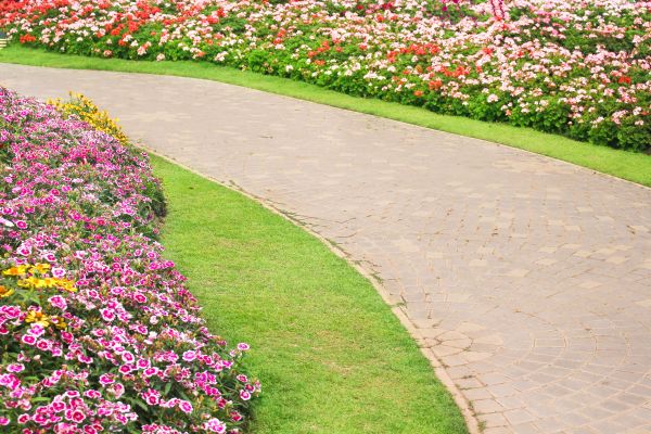 Cost of Concrete Walkway Service in Manassas